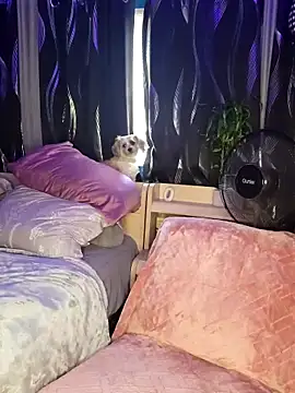 SexyNikki6969 online show from 03-31-26, 09:59