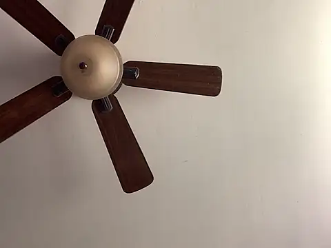 QueenNuttCollector online show from 04-29-26, 04:55