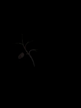 sxxxxxxlll online show from 11-15-25, 02:53
