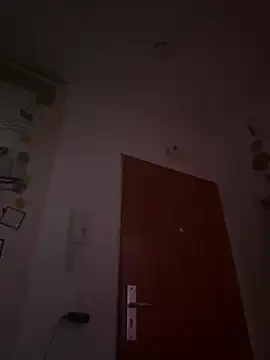 Snapshot of Toyjungee chatting on 12-23-24, 01:03 Toyjungee online show from 12-23-24, 01:03