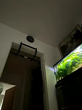 Snapshot of Toyjungee chatting on 09-22-25, 06:59 Toyjungee online show from 09-22-25, 06:59