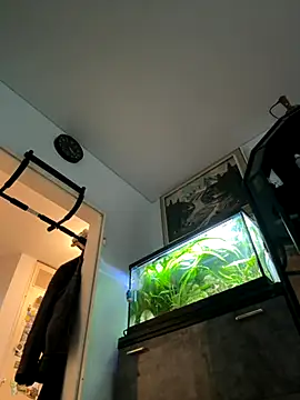 Snapshot of Toyjungee chatting on 09-23-25, 03:37 Toyjungee online show from 09-23-25, 03:37