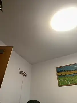 Toyjungee online show from 02-13-26, 11:06