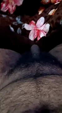 Snapshot of Naughtyforpussy chatting on 02-01-25, 11:27 Naughtyforpussy online show from 02-01-25, 11:27