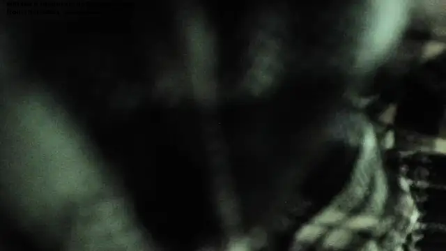 shamelesss di online show from 03-11-26, 05:52