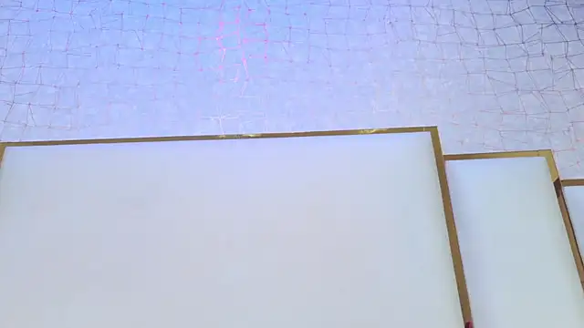 paola rodriguez online show from 07-28-26, 11:39