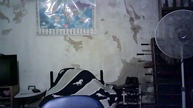 Snapshot of Emv2 chatting on 11-26-25, 04:57 Emv2 online show from 11-26-25, 04:57