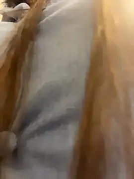 Reggie-Liam online show from 01-09-26, 12:46