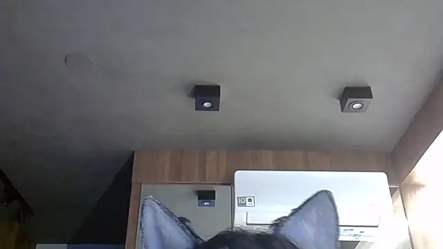 Skinny-Kitten online show from 10-31-25, 09:21