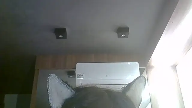 Snapshot of Skinny-Kitten chatting on 06-01-26, 03:47 Skinny-Kitten online show from 06-01-26, 03:47