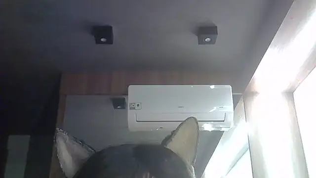 Snapshot of Skinny-Kitten chatting on 06-02-26, 03:52 Skinny-Kitten online show from 06-02-26, 03:52