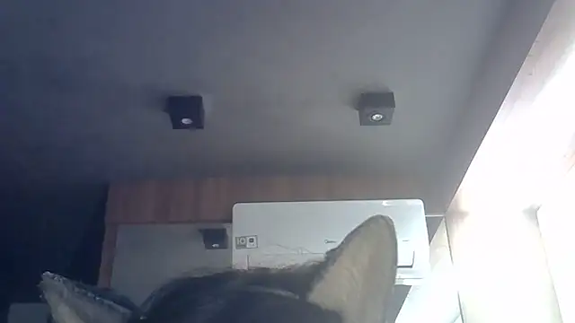 Snapshot of Skinny-Kitten chatting on 06-09-26, 09:32 Skinny-Kitten online show from 06-09-26, 09:32