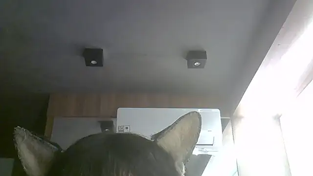 Snapshot of Skinny-Kitten chatting on 07-09-26, 09:35 Skinny-Kitten online show from 07-09-26, 09:35