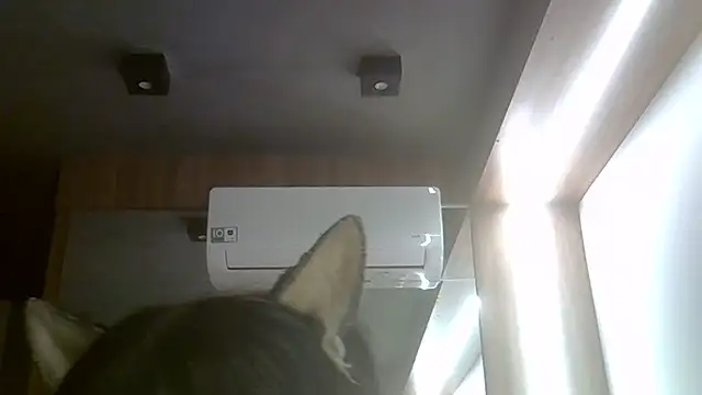 Snapshot of Skinny-Kitten chatting on 07-20-26, 11:45 Skinny-Kitten online show from 07-20-26, 11:45