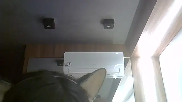 Snapshot of Skinny-Kitten chatting on 07-21-26, 04:09 Skinny-Kitten online show from 07-21-26, 04:09