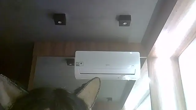 Snapshot of Skinny-Kitten chatting on 07-24-26, 04:10 Skinny-Kitten online show from 07-24-26, 04:10