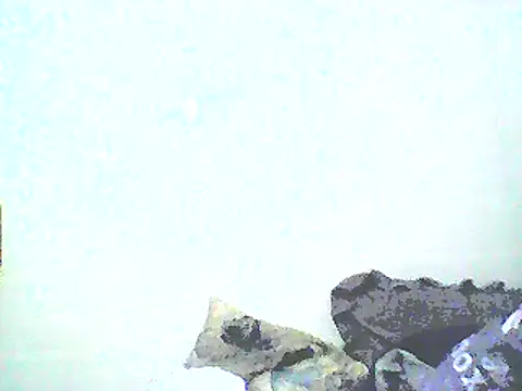 Stormward online show from 01-12-25, 08:46