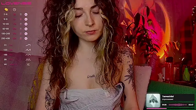 IttyKitty online show from 02-12-26, 11:55