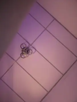 Charly  online show from 12-18-25, 05:13