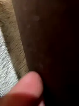 Snapshot of la_chiennete chatting on 11-18-25, 09:30 la chiennete online show from 11-18-25, 09:30