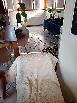 Isabellaa04 online show from 10-11-25, 02:15