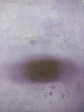 Kannadaboymanu online show from 03-18-25, 04:59