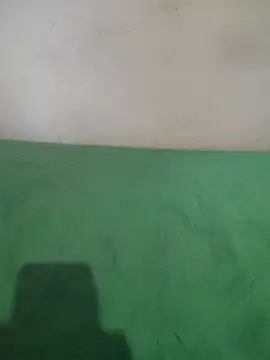 Snapshot of _Scorpion_ chatting on 02-11-25, 07:38 Scorpion online show from 02-11-25, 07:38