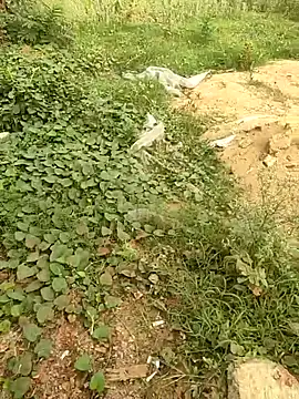 Snapshot of COUPLLE_VILLAGE chatting on 05-19-26, 01:44 COUPLLE VILLAGE online show from 05-19-26, 01:44