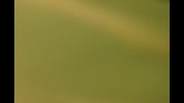 -AyeshaSinghania- online show from 03-26-26, 10:21