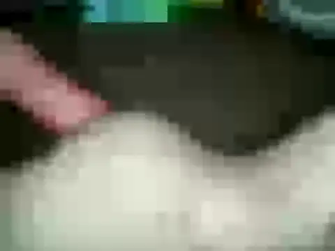 Snapshot of xxxlecram chatting on 01-15-25, 02:56 xxxlecram online show from 01-15-25, 02:56