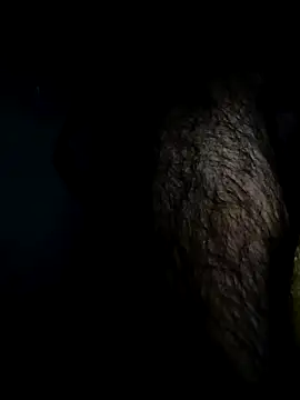 Bigcockmexi13 online show from 04-18-26, 07:29