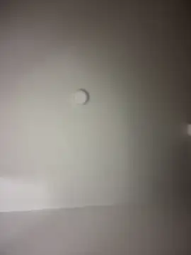 MichelleFerry  online show from 12-16-24, 07:37