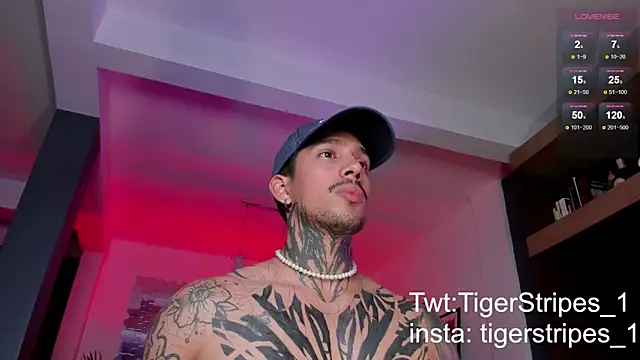 TigerStripes1  online show from 03-03-25, 11:46