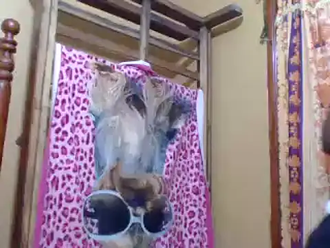 sweetbabra1 online show from 02-11-25, 05:58