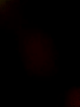 htopatudo online show from 03-28-26, 12:21