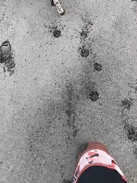 Snapshot of kvr27 chatting on 02-24-26, 01:20 kvr27 online show from 02-24-26, 01:20