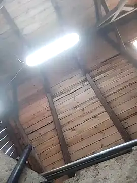 lotrando54 online show from 12-29-24, 07:50